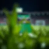 User interface showcasing Zakabet APK features for Nigerian sports betting
